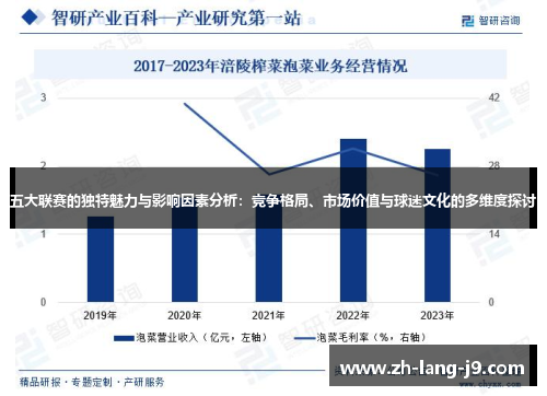 五大联赛的独特魅力与影响因素分析：竞争格局、市场价值与球迷文化的多维度探讨