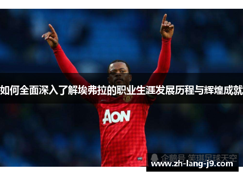 如何全面深入了解埃弗拉的职业生涯发展历程与辉煌成就